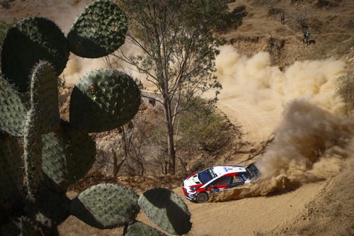 Fotoğraf | 2018 Meksika Rallisi 44810