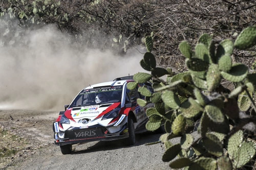 Fotoğraf | 2018 Meksika Rallisi 44791