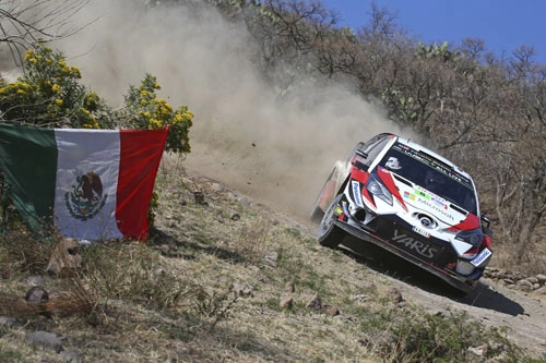 Fotoğraf | 2018 Meksika Rallisi 44806