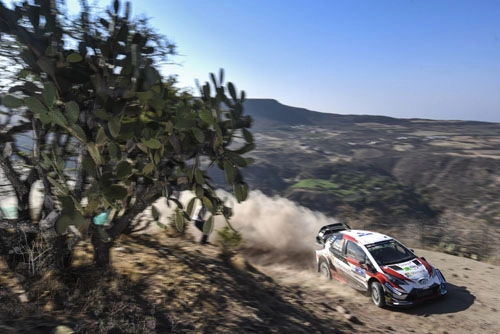 Fotoğraf | 2018 Meksika Rallisi 44812