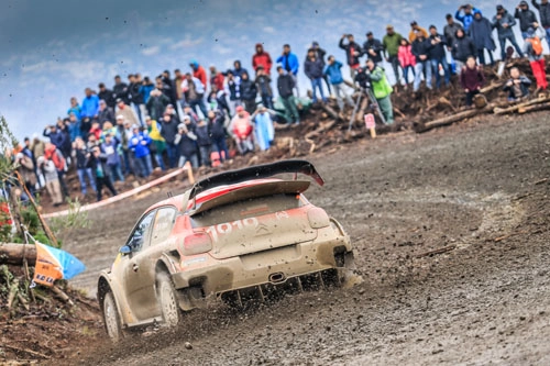 Fotoğraf | 2019 WRC Şili 56719