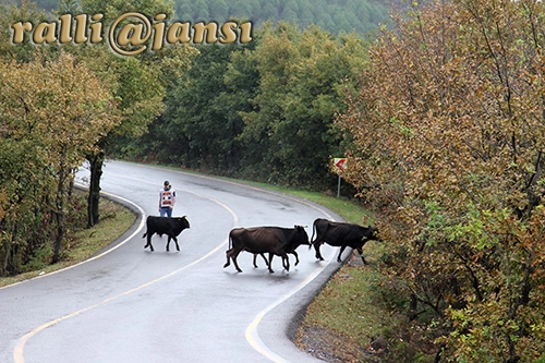 Fotoğraf | Darlık 81267