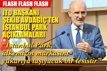 Avdagiç’ten İstanbul Park açıklaması