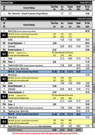Rallide Kocaeli zamanı
