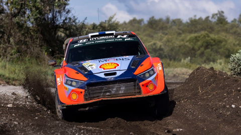 Abiteboul Safari'den mutlu