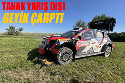 Geyik çarptı