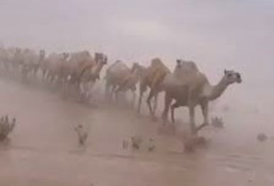 Dakar'a yağmur sürprizi