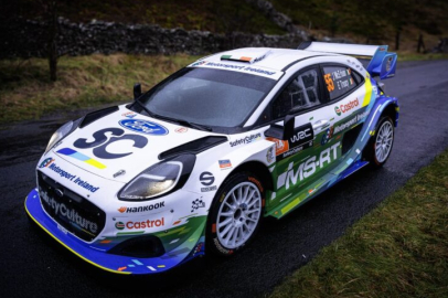 Puma renk değiştirdi