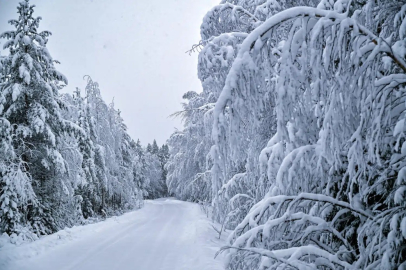İsveç’te kayıplardayız
