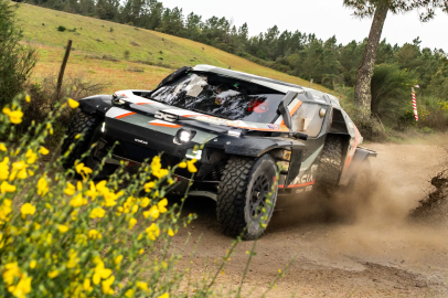 Portekiz RR’de Loeb kazandı