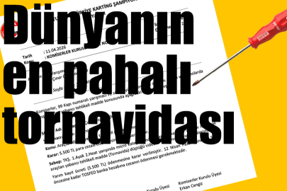 Dünyanın en pahalı tornavidası!